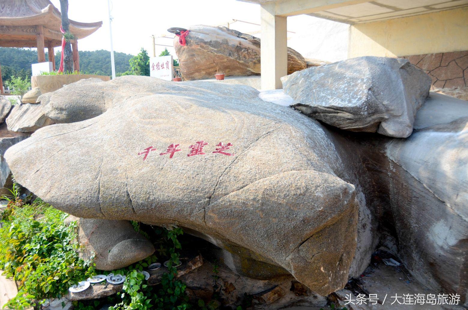 大连哈仙岛旅游多少钱,大连哈仙岛住宿推荐阳光渔村