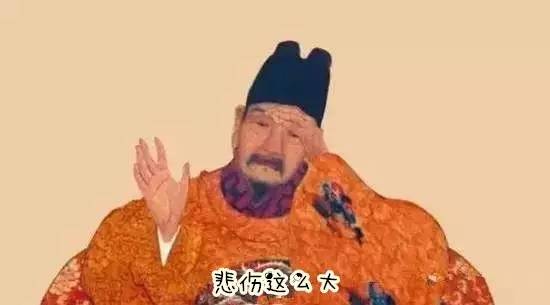 秘鲁巨型荷兰猪真的有吗,秘鲁荷兰猪巨型