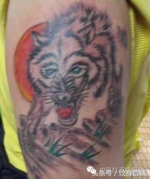 一万块钱可以纹什么纹身,纹身纹一个满背多少钱