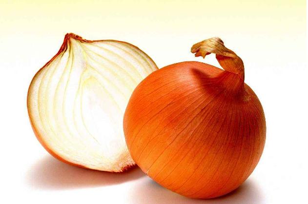 妞嶇墿鐣屼簰鐩搁櫔浼寸殑妞嶇墿,妞嶇墿鐣岀殑濂芥湅鍙嬫湁鍝簺