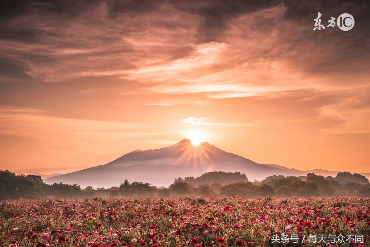 ps怎么用圆角矩形工具抠图,ps魔棒工具怎么用来抠图啊