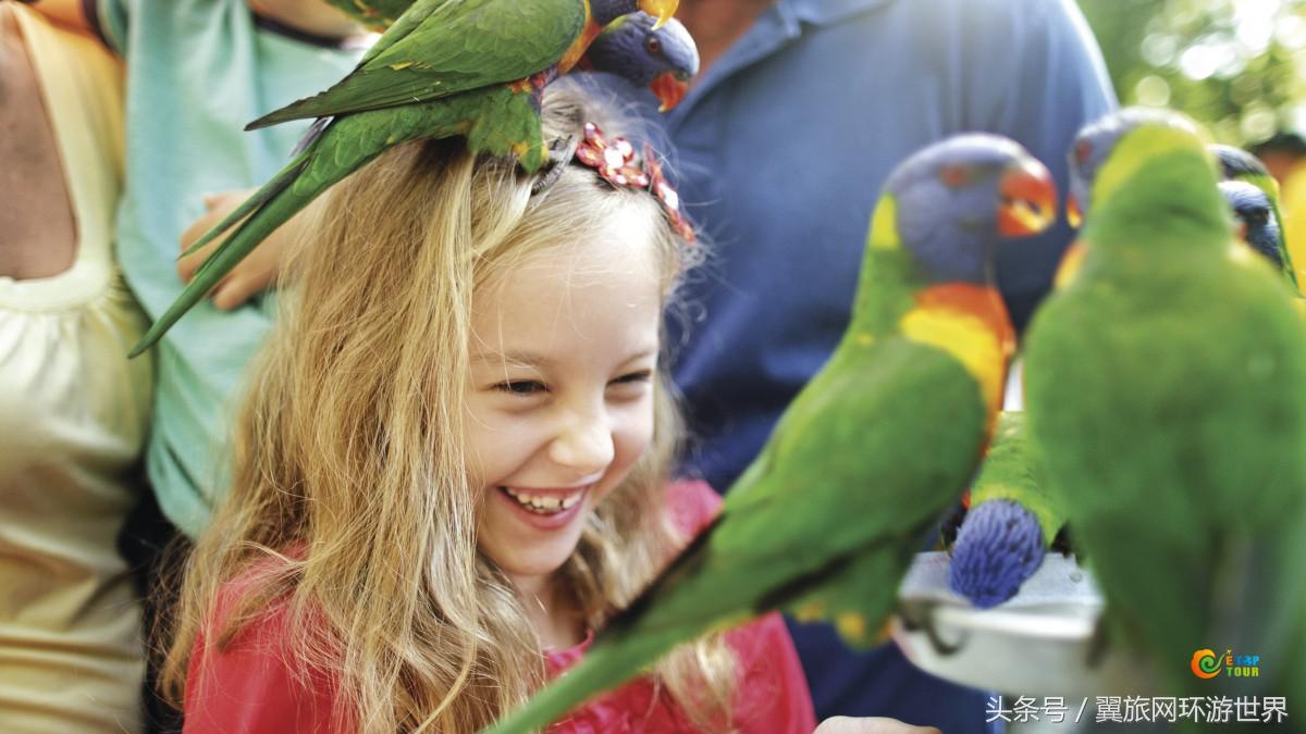 暑期去哪嗨？昆士兰100个亲子旅行项目等着您