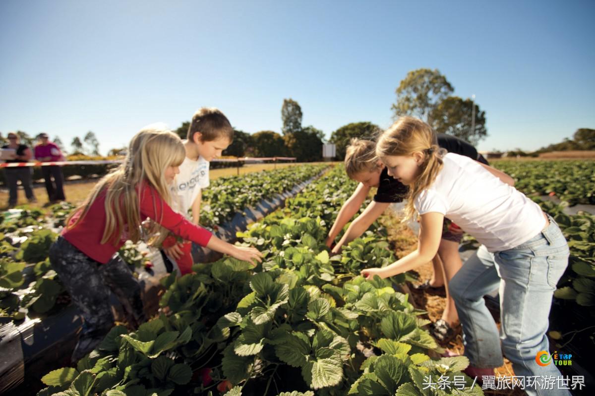 暑期去哪嗨？昆士兰100个亲子旅行项目等着您