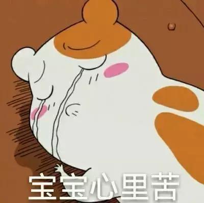 梅雨季防霉的东西,梅雨时节防霉最佳方法