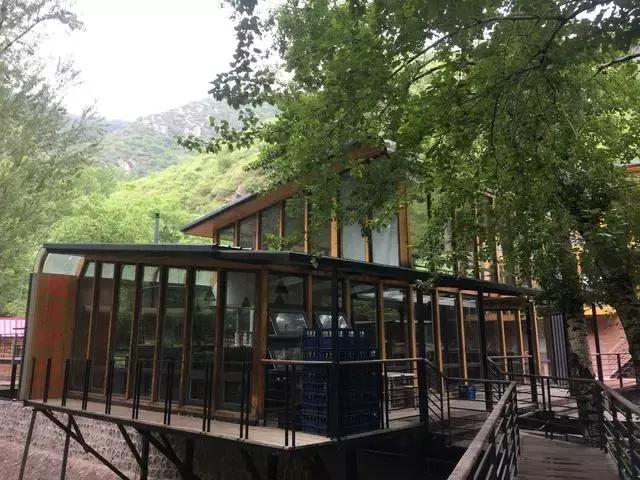 就是个简单的灶台鱼，凭什么招来那么多人？