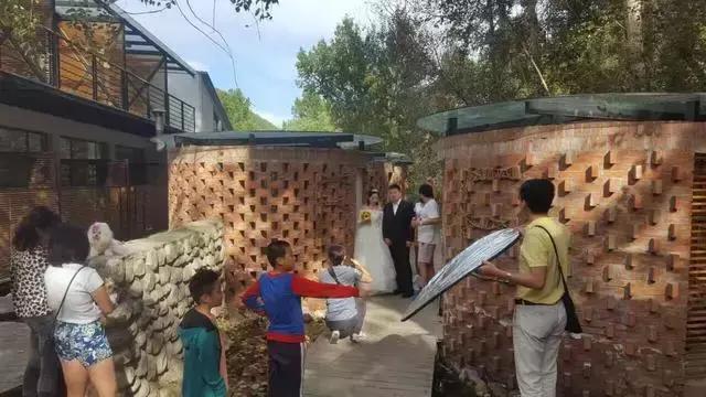 就是个简单的灶台鱼，凭什么招来那么多人？