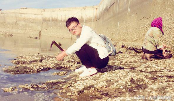 大连哈仙岛旅游多少钱,大连哈仙岛住宿推荐阳光渔村