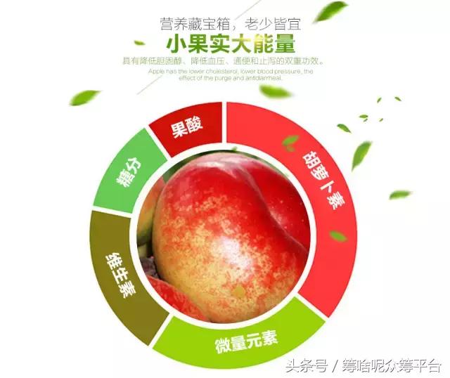 油桃还是毛桃,油桃和桃树怎么分辨