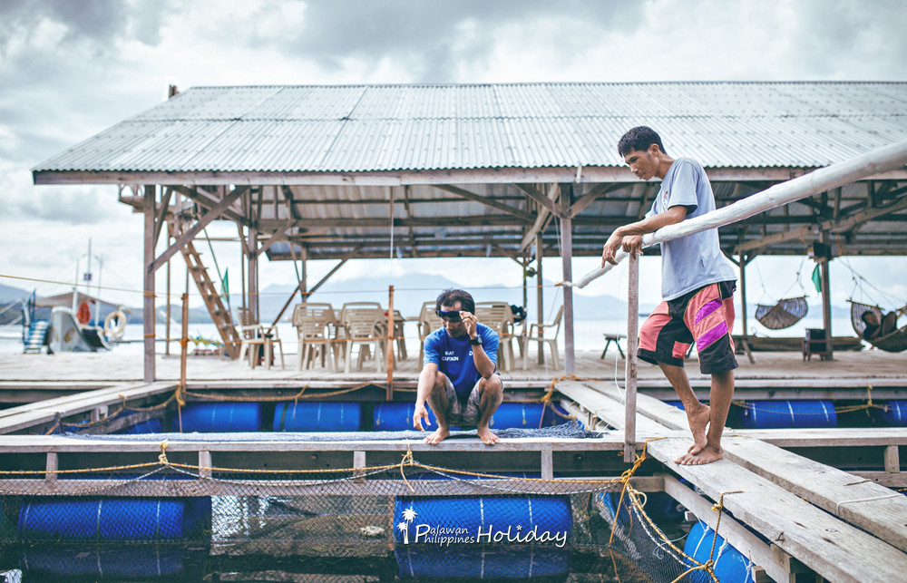 巴拉望｜本田湾真的是本田公司买下的吗？来了这里才知道