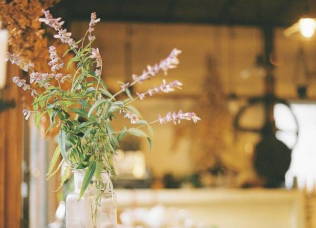 排卵期不准怎么调整,排卵期不准怎么怀孕