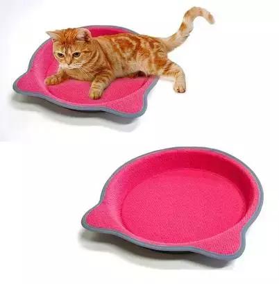 铝盆和鸡窝卖断货了,看猫咪用品创业商机