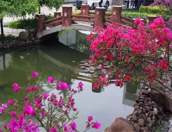 亭楼玉瓦+中式檀韵，精致了时光