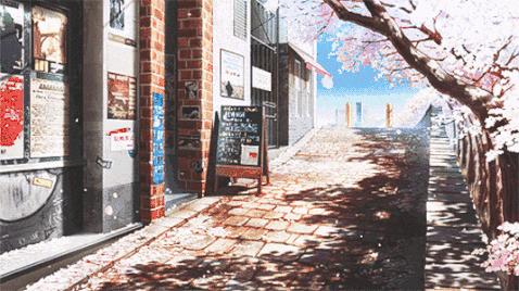 枯萎的花朵,枯萎的花朵图片