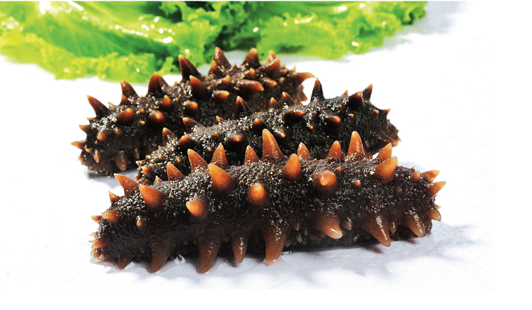 海参营养价值真有那么高吗,海参公母哪个营养价值高