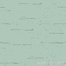 硅藻泥装修效果到底怎么样？如何判断硅藻泥产品品质是否优异？