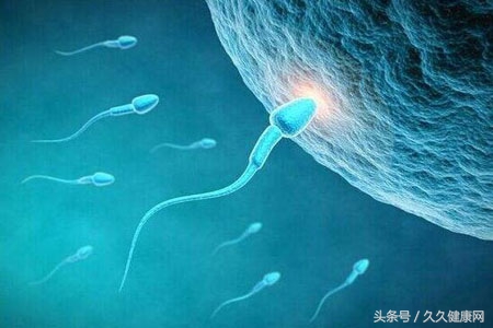 男性备孕需要做什么检查,男性备孕能否做ct检查