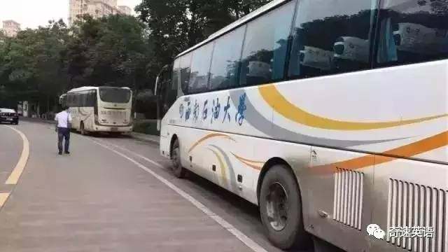 英语语感和语法哪个更管用,小学生英语语感培养