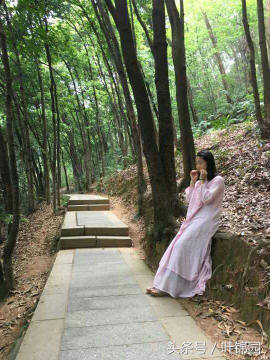 锦园，心得自在呼吸