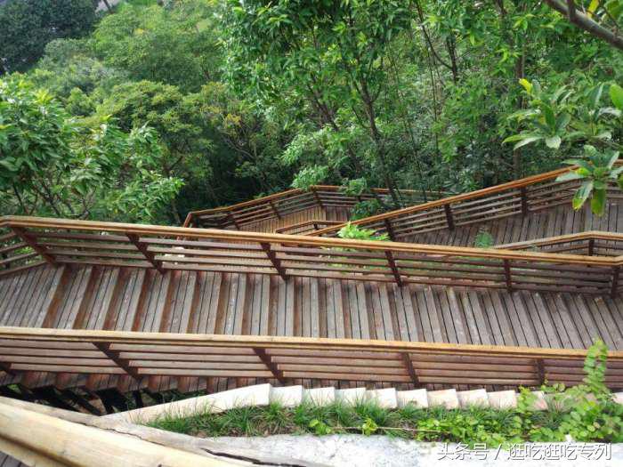 广州生物岛叠翠园门票,广州市黄埔区国际生物岛