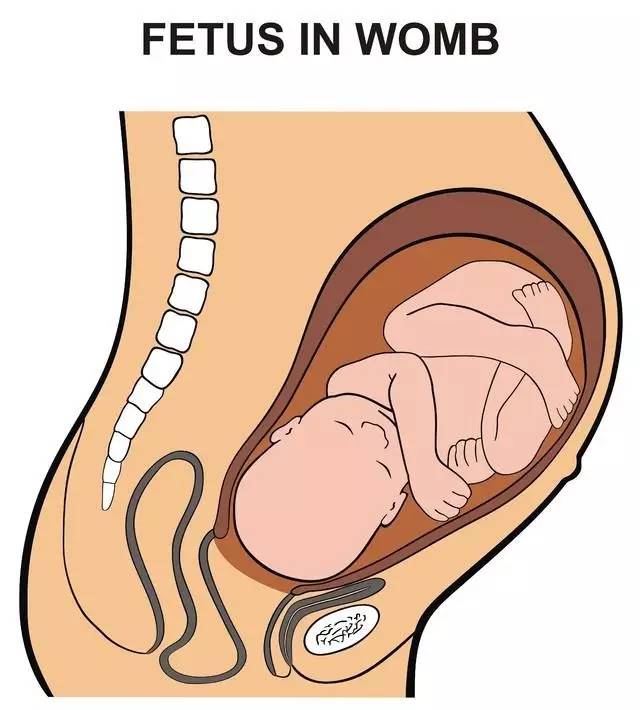 剖腹产宝宝补益生菌,剖腹产后出现大肠杆菌是怎么回事