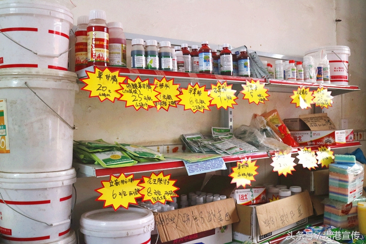 贵港农村淘宝试点调查:卖的没有买的多?本地“土货”如何实现走出去