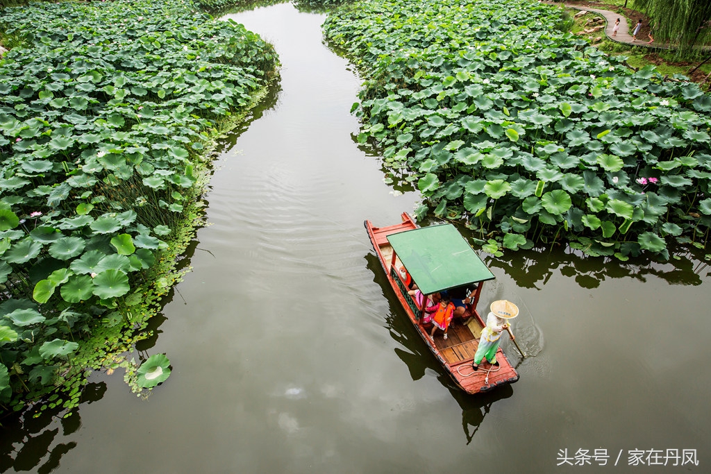 丹凤县的地域文化,商洛市丹凤县的名胜古迹