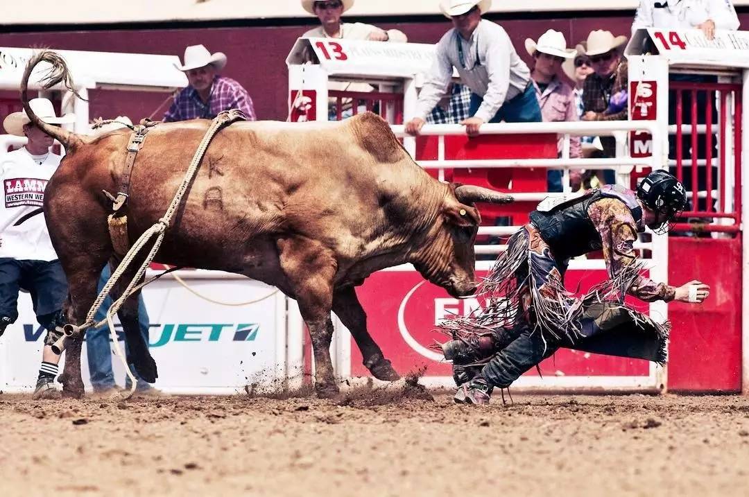 如此狂野的卡尔加里，可以造就怎样神奇的音乐？