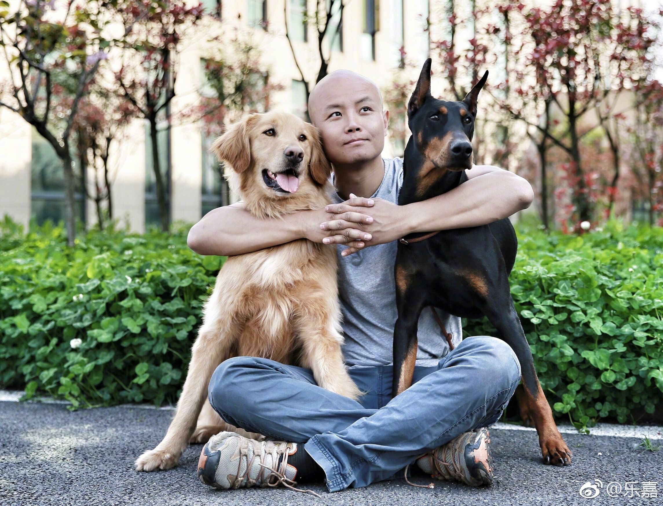 乐嘉医师节致敬：我和动我蛋蛋的医生是怎么交心的