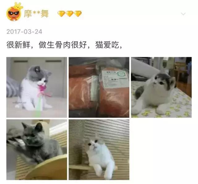 铝盆和鸡窝卖断货了,看猫咪用品创业商机