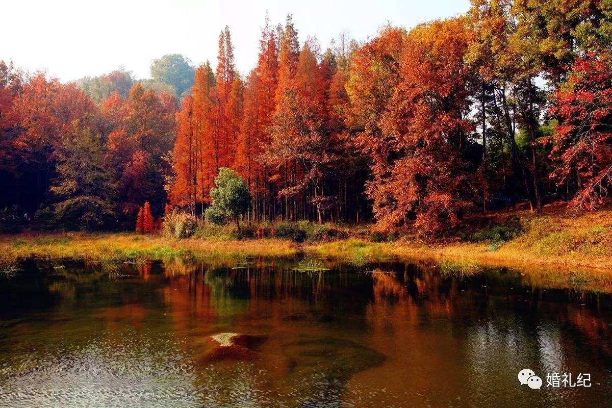 这样的婚纱照拍摄景点你中意吗,婚纱照拍摄圣地推荐