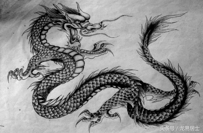 中国的十二生肖现在还有几个,中国的十二生肖都是什么