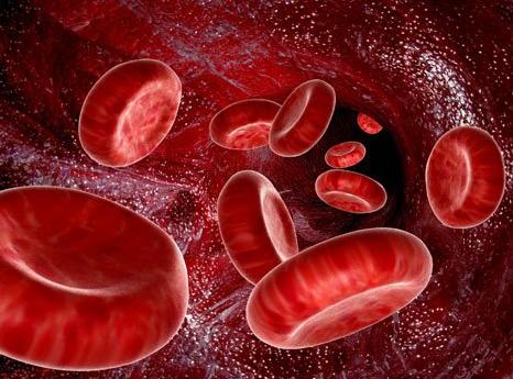 血液病红细胞增多,血液病红细胞增多症能治好吗