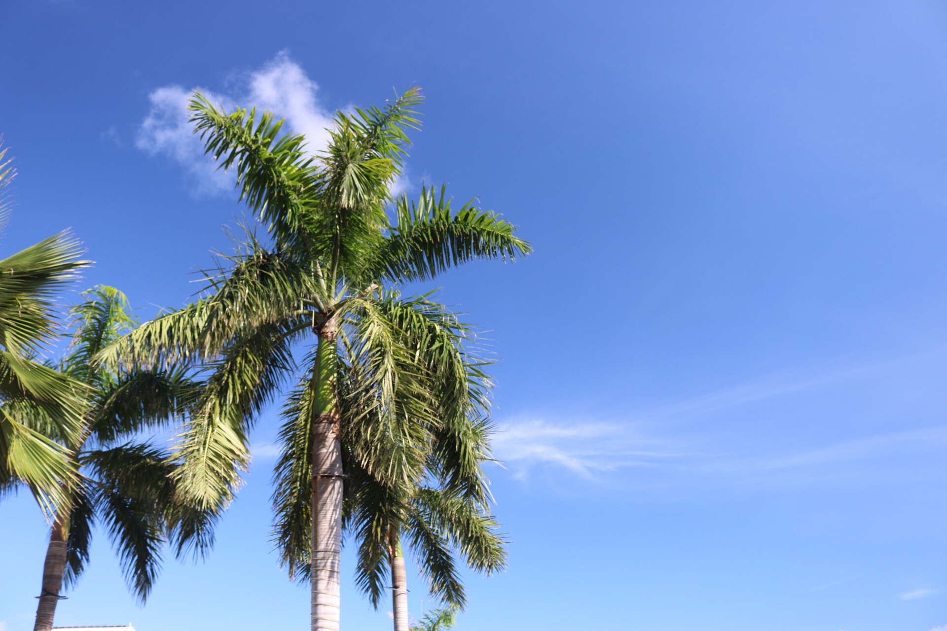 旅行是为了遇见未知的美好,旅行让你遇到未知的世界