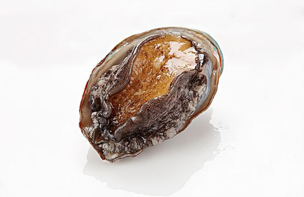 高血压可以吃鹿茸人参吗,高血压高能喝人参鹿茸药酒吗