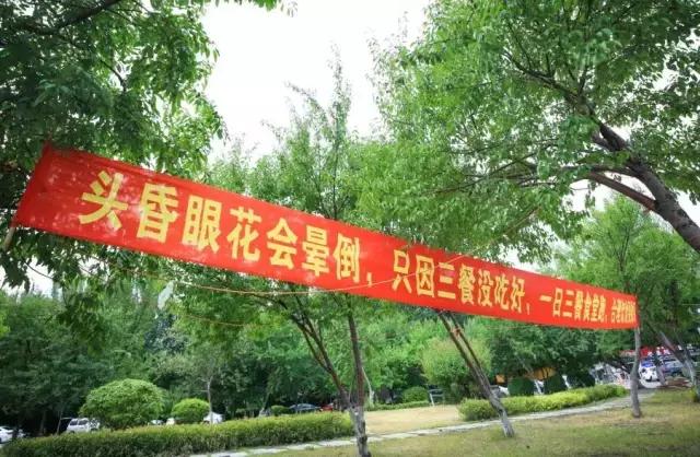 沈阳师范大学青春,再见青春沈阳