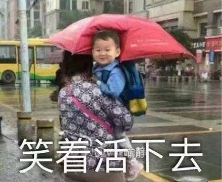 小黑瓶和高能小棕瓶的区别,无盒小黑瓶小棕瓶是正品吗