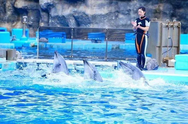 名古屋鳗鱼三吃优惠,名古屋刺身攻略