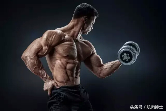 新手哑铃健身一周训练计划,新手健身适合什么样的计划