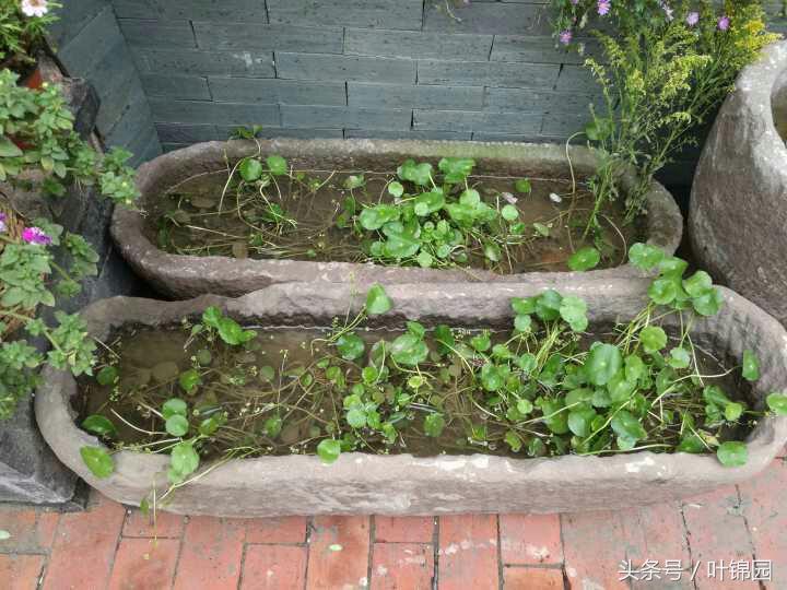 锦园，心得自在呼吸