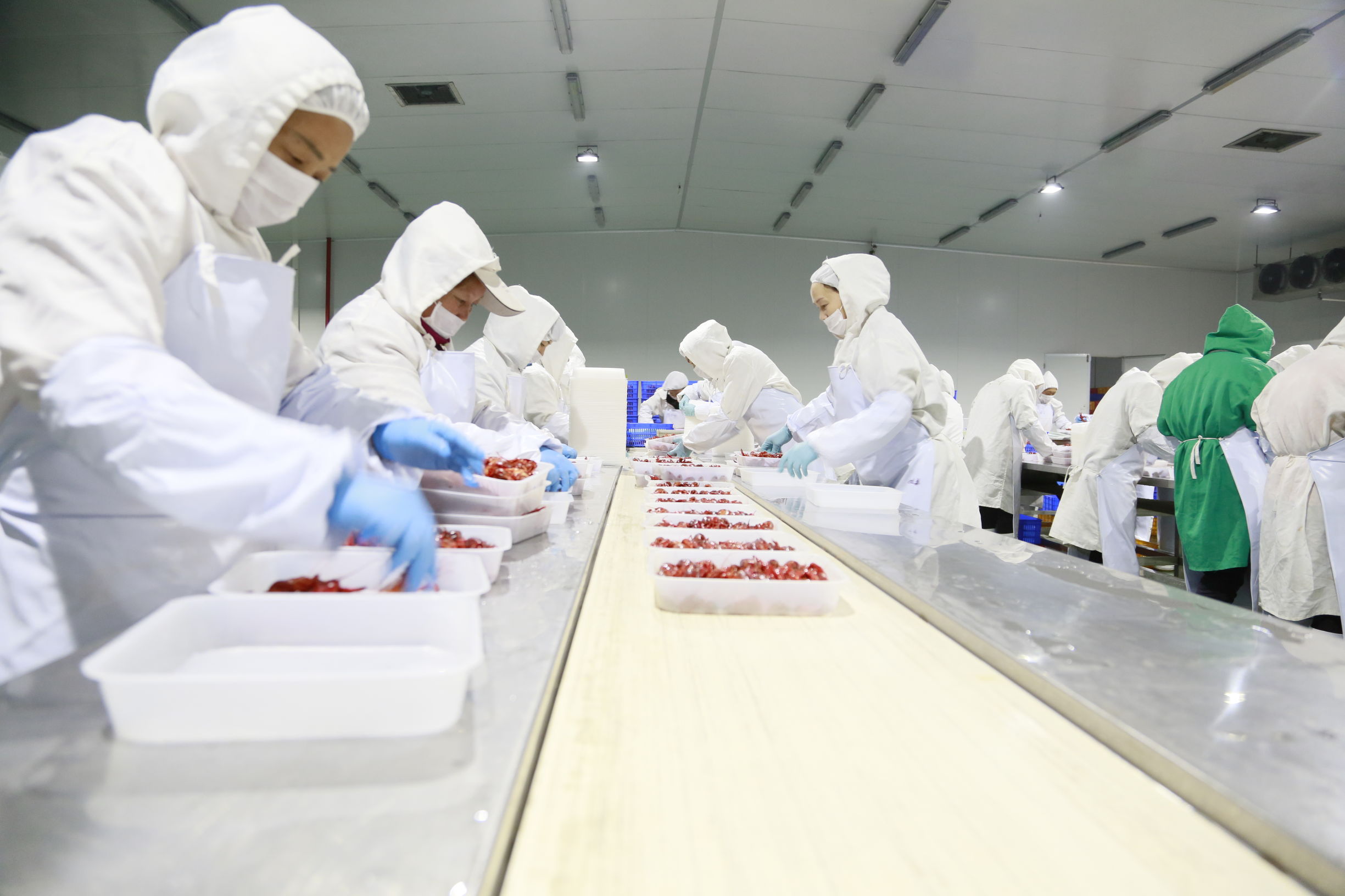 清华虾哥致定西学弟:职业无贵贱、学成来做虾