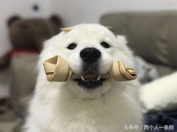 萨摩癌症,萨摩肿瘤