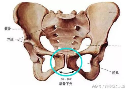 孕期耻骨痛和坐骨神经痛是一样吗,孕期耻骨痛是怎么痛的
