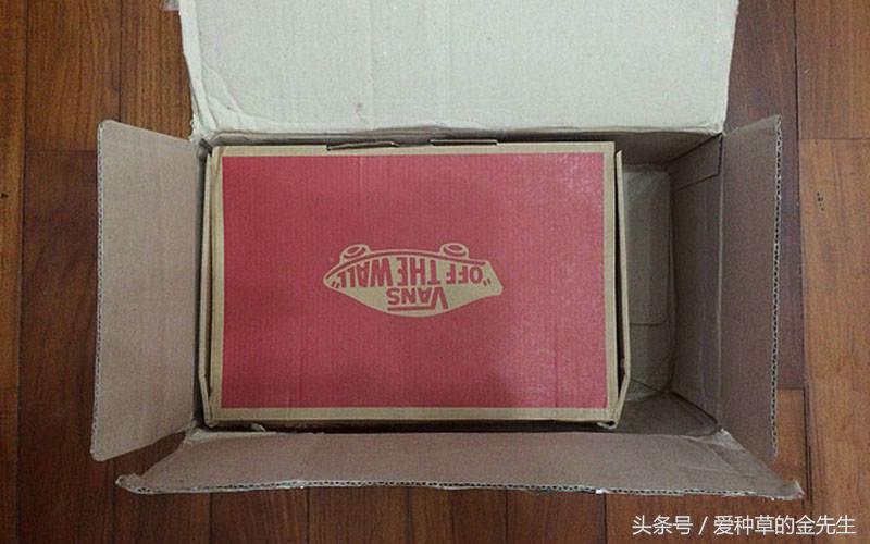 vans最经典的一款,最舒服的vans是哪款