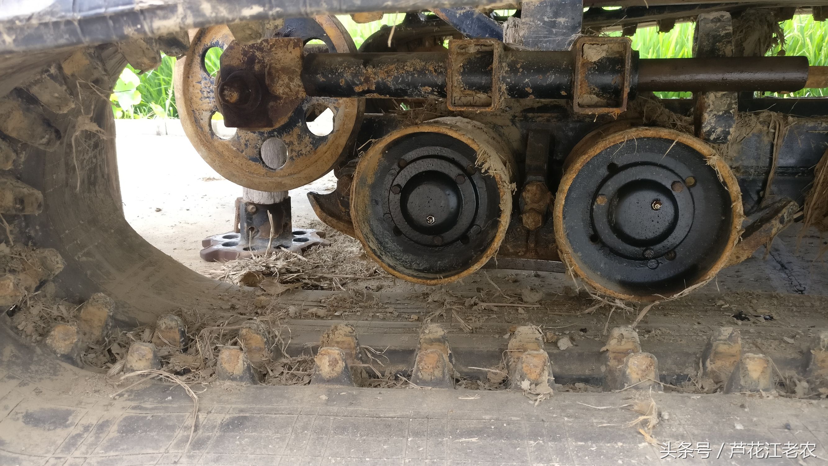 福田玉米收割机大轮改履带,福田gr70履带收割机