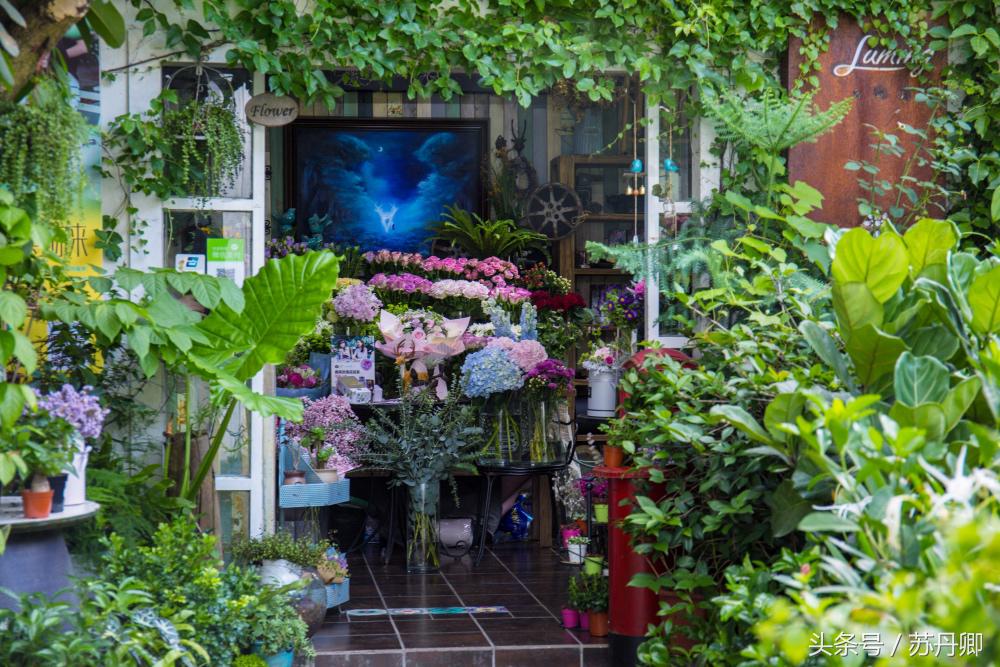 深圳世界之窗中途出去能再进吗,深圳世界之窗要准备什么