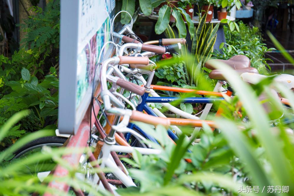 深圳世界之窗中途出去能再进吗,深圳世界之窗要准备什么