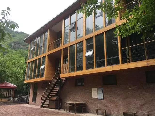 就是个简单的灶台鱼，凭什么招来那么多人？