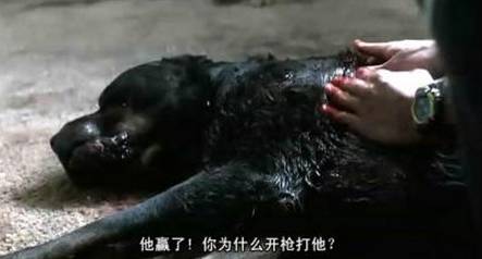 这片，港版叫《狗男女的爱》，豆瓣8.2，拍的确实“牛”！