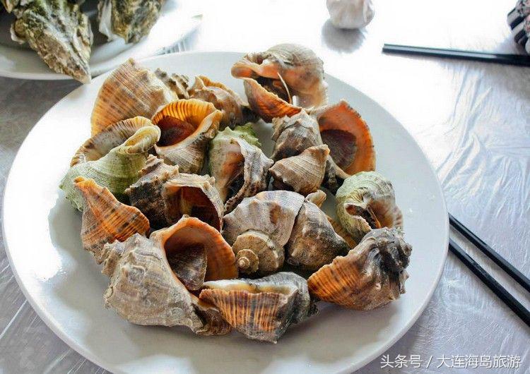 大连哈仙岛旅游多少钱,大连哈仙岛住宿推荐阳光渔村