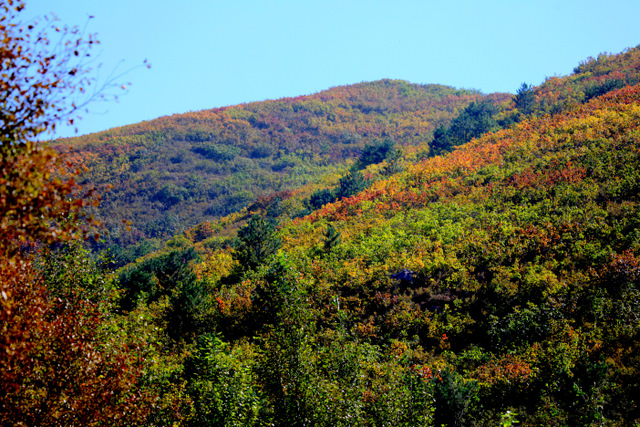 青龙山自然风景,青龙山山顶景色